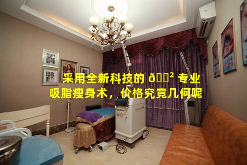 采用全新科技的 🌲 专业吸脂瘦身术，价格究竟几何呢